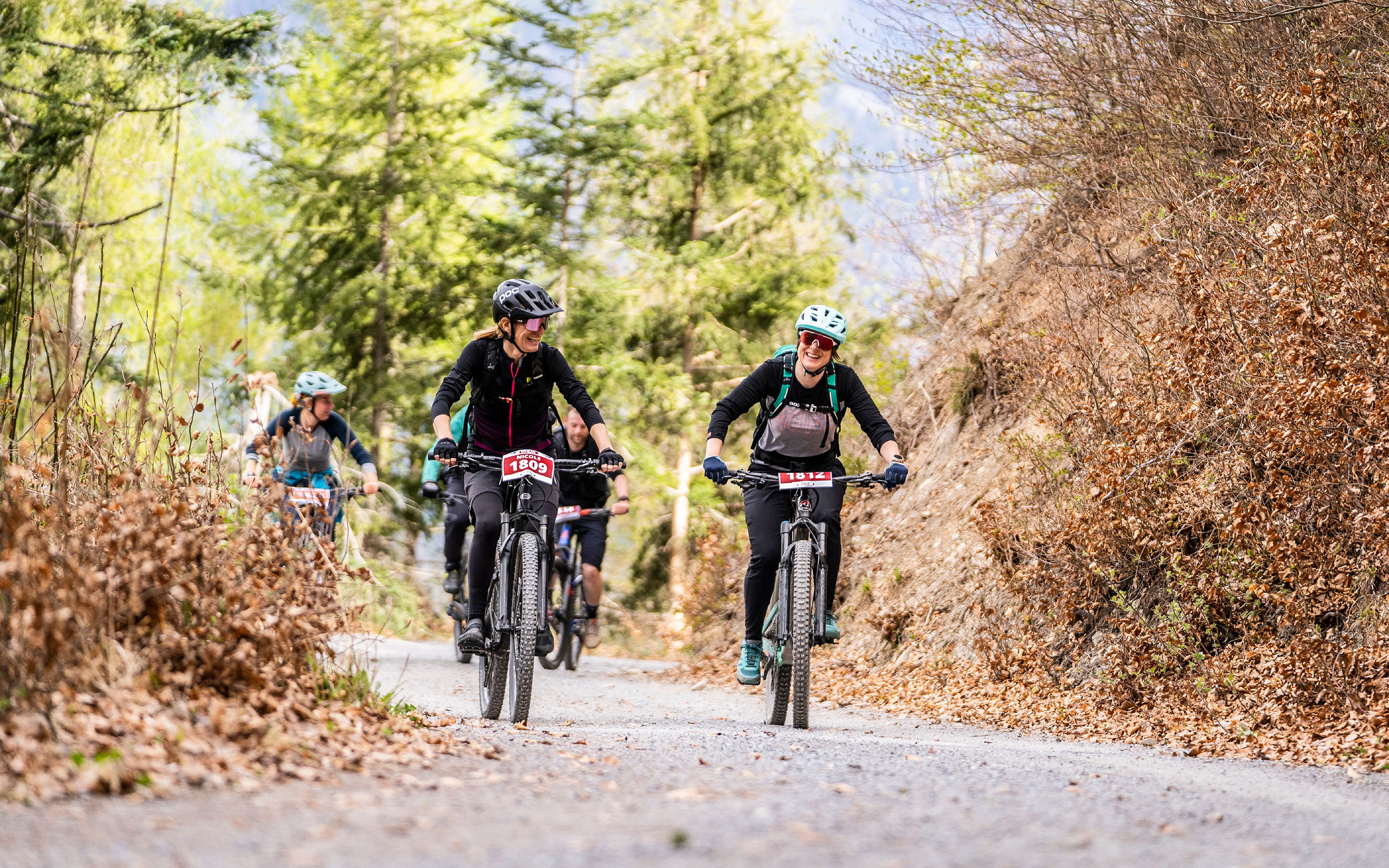 Mehrere Personen auf einer Mountainbike-Tour